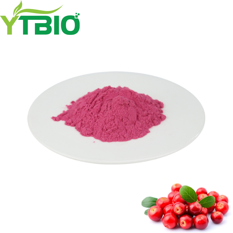 Bulk Cranberry Powder